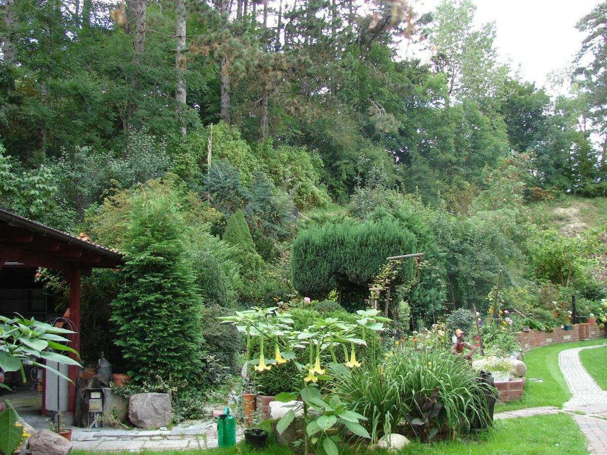 Villa Mielno-Eko เมียลโน ภายนอก รูปภาพ