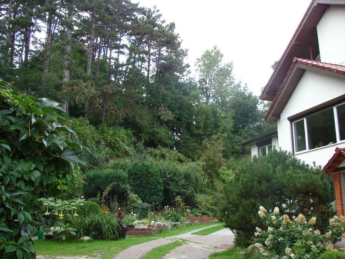 Villa Mielno-Eko เมียลโน ภายนอก รูปภาพ